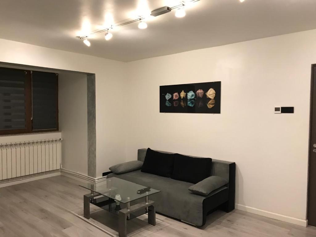 Elegant & Silver Luxury Apartament Крайова Экстерьер фото